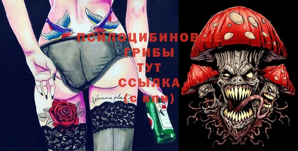 таблы Бородино