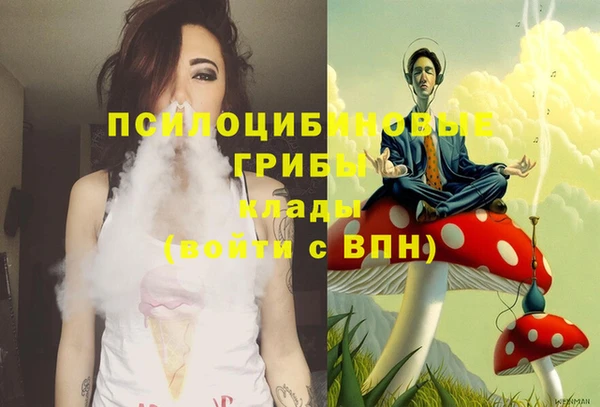 таблы Бородино