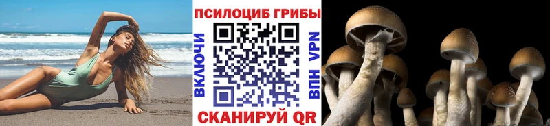 Псилоцибиновые грибы мухоморы  Балашиха 